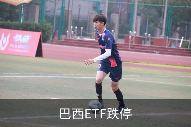 巴西ETF跌停