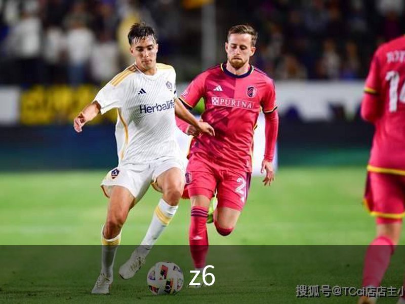关于z6